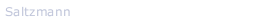 Saltzmann